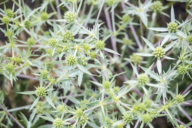 Similar image 13288961