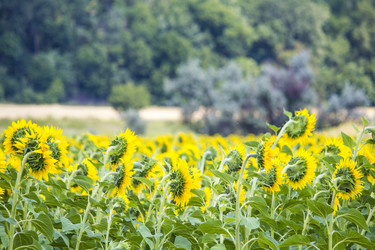 Similar image 13288963