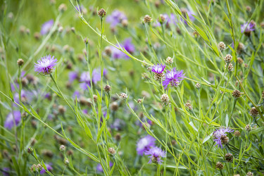 Similar image 13288964