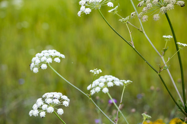 Similar image 13288965