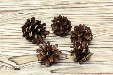 Similar image 13288777