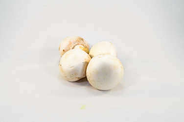 Similar image 13288988