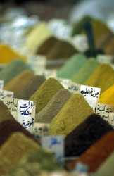 Similar image 13309071