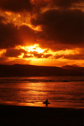 Similar image 13309102