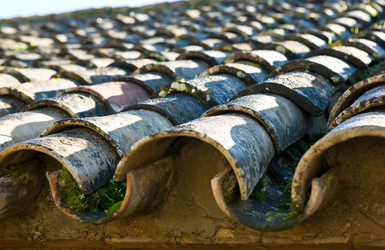 Similar image 13308783