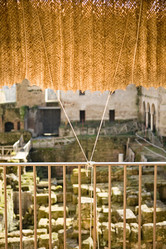 Similar image 13308963