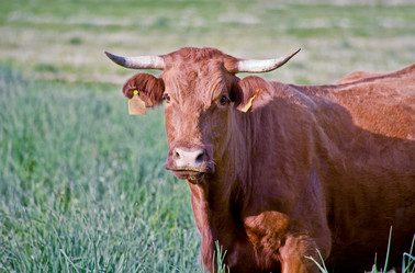 Similar image 13308791