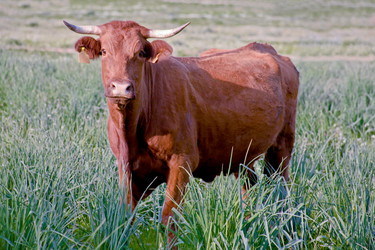 Similar image 13308792