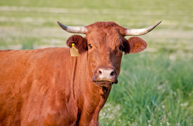 Similar image 13308797