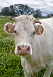 Similar image 13308964