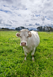 Similar image 13308965