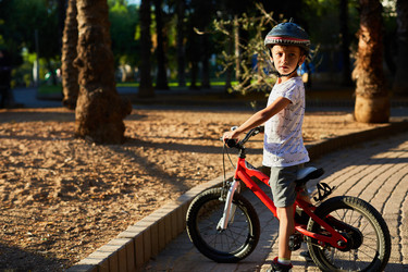 Similar image 13315506