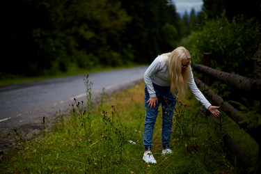 Similar image 13315536