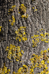 Similar image 13308473