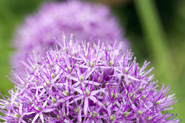 Similar image 13308482