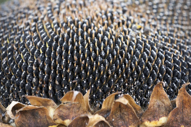 Similar image 13308498