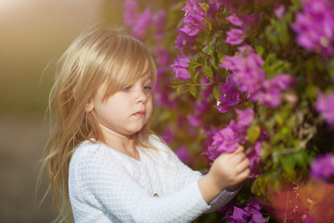 Similar image 13315540