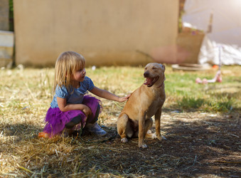 Similar image 13315542