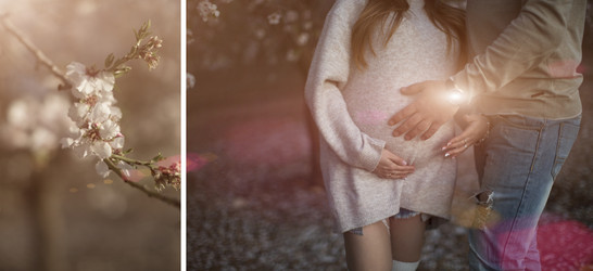 Similar image 13315514