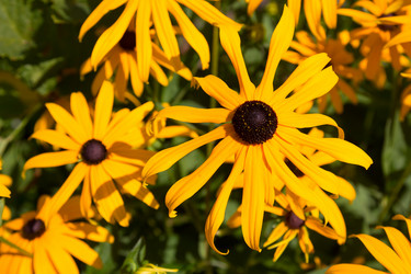 Similar image 13308839