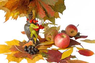 Similar image 13308840