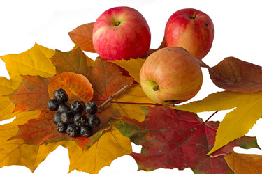 Similar image 13308842