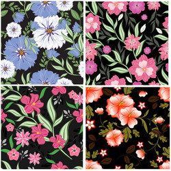 Similar image 13300744