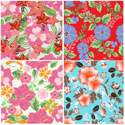 Similar image 13300649