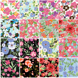 Similar image 13300662