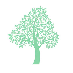 Similar image 13292367