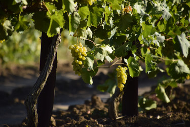 Similar image 13293829