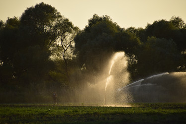 Similar image 13293830