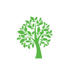 Similar image 13292602