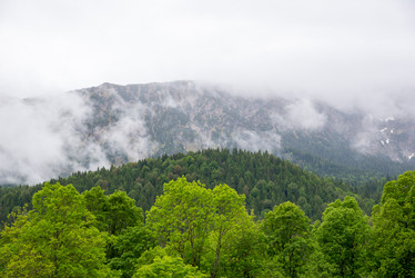 Similar image 13315860