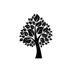 Similar image 13292391