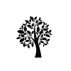 Similar image 13300831