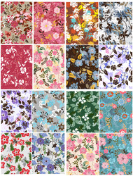 Similar image 13300638