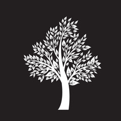 Similar image 13300569