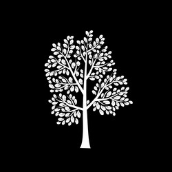 Similar image 13292296