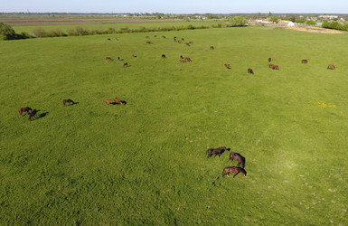 Similar image 13293832