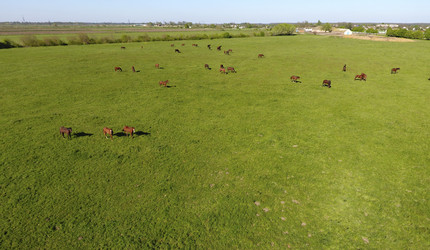 Similar image 13293833