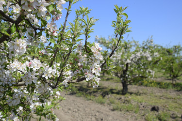 Similar image 13293834