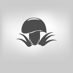 Similar image 13292362