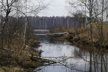 Similar image 13301058