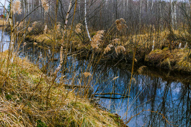 Similar image 13301059