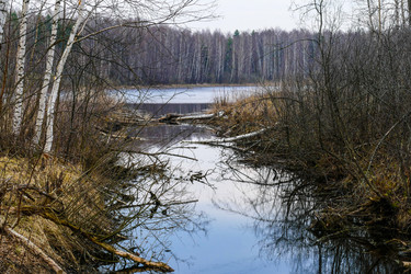 Similar image 13301060