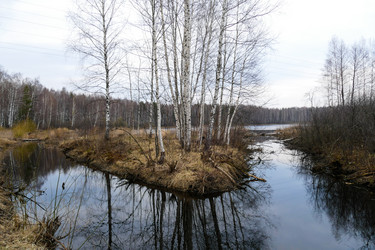 Similar image 13301061