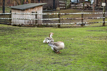 Similar image 13308539