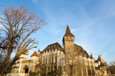 Similar image 13315845