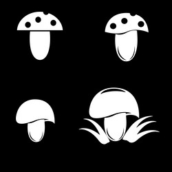 Similar image 13300783